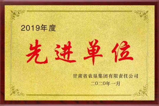 2019年度先进单位