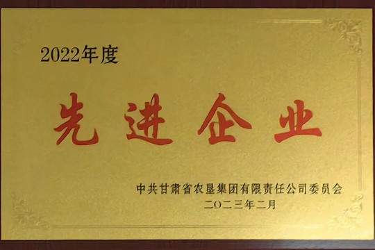 2022年度先进企业
