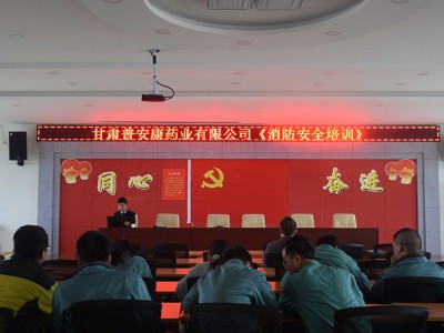 公司组织消防应急知识专题培训