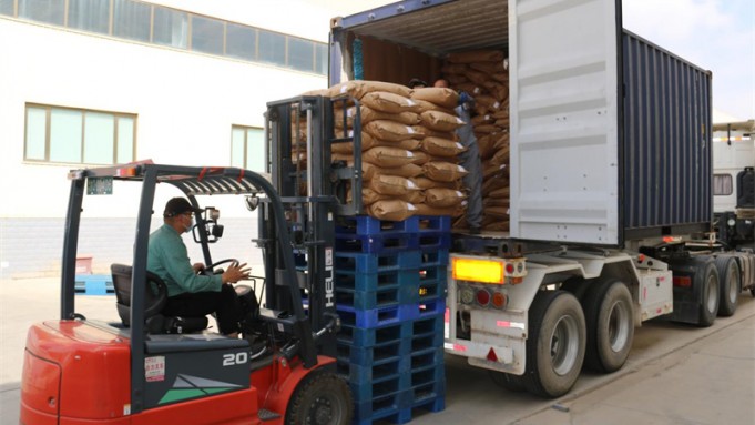 Export orders of inactivated poppy seeds to Europe delivered successfully